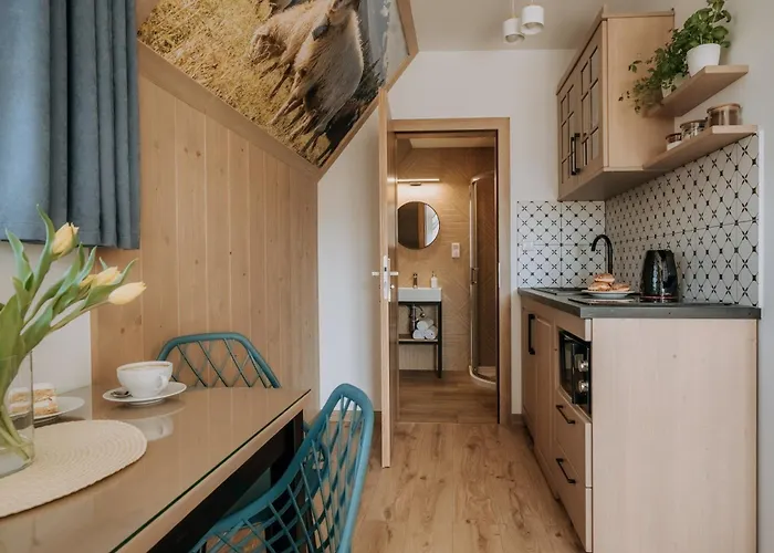 בית הארחה Janowa בוקוווינה טטז'אנסקה